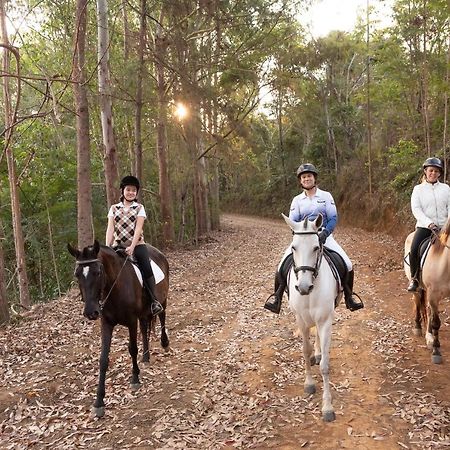 Haras Morena Resort Juiz de Fora Luaran gambar